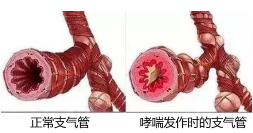 &#21338;&#40060;&#20307;&#32946;&#40;&#20013;&#22269;&#41;&#23448;&#26041;&#32593;&#31449;&#45;&#30331;&#24405;&#20837;&#21475;