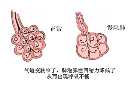 &#21338;&#40060;&#20307;&#32946;&#40;&#20013;&#22269;&#41;&#23448;&#26041;&#32593;&#31449;&#45;&#30331;&#24405;&#20837;&#21475;
