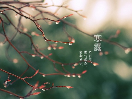 &#21338;&#40060;&#20307;&#32946;&#40;&#20013;&#22269;&#41;&#23448;&#26041;&#32593;&#31449;&#45;&#30331;&#24405;&#20837;&#21475;