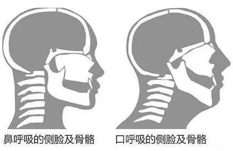 &#21338;&#40060;&#20307;&#32946;&#40;&#20013;&#22269;&#41;&#23448;&#26041;&#32593;&#31449;&#45;&#30331;&#24405;&#20837;&#21475;