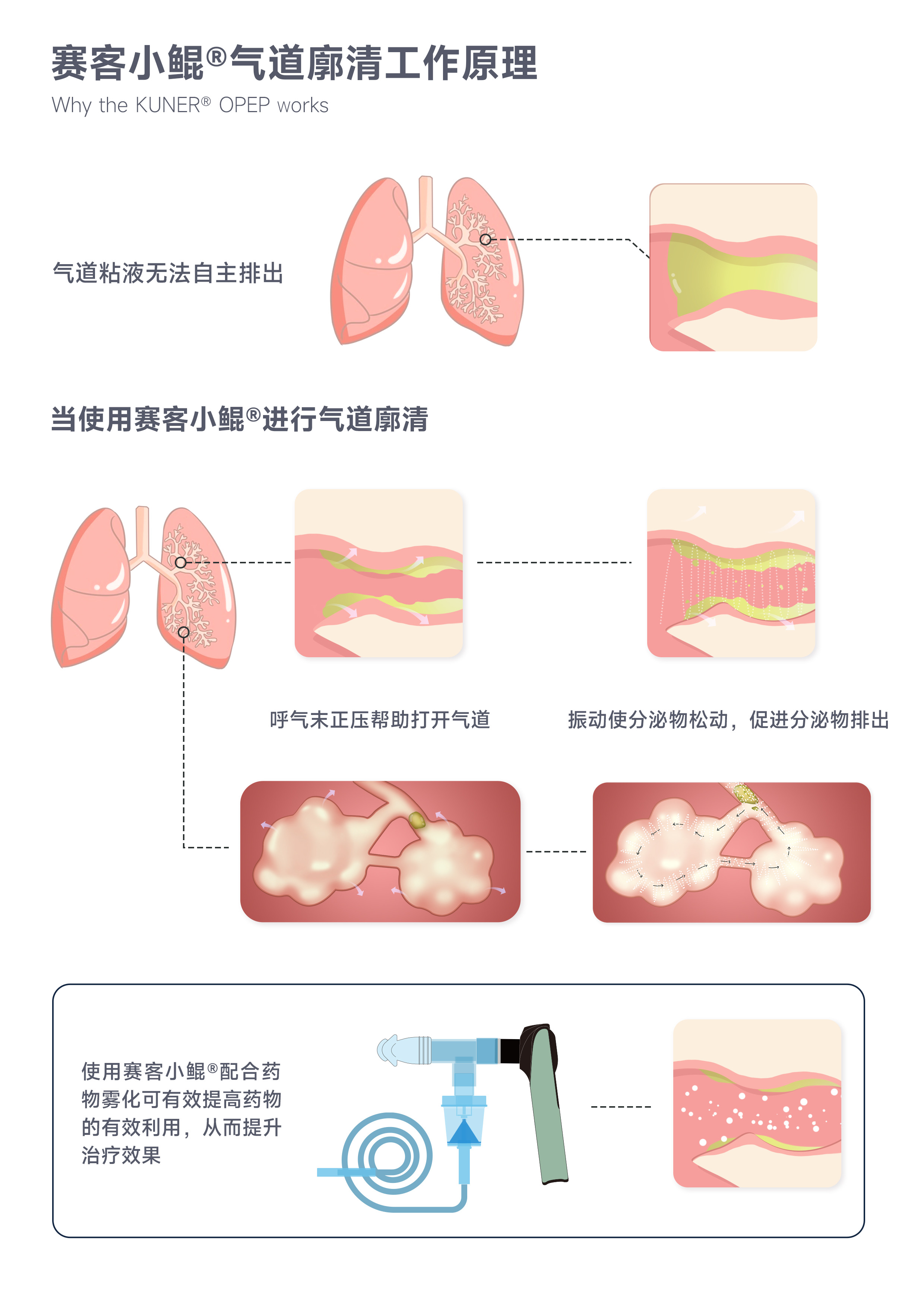 &#21338;&#40060;&#20307;&#32946;&#40;&#20013;&#22269;&#41;&#23448;&#26041;&#32593;&#31449;&#45;&#30331;&#24405;&#20837;&#21475;