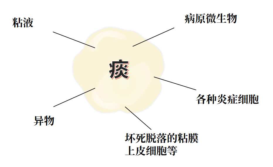 &#21338;&#40060;&#20307;&#32946;&#40;&#20013;&#22269;&#41;&#23448;&#26041;&#32593;&#31449;&#45;&#30331;&#24405;&#20837;&#21475;